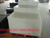 NHỰA POM TẤM 60MM